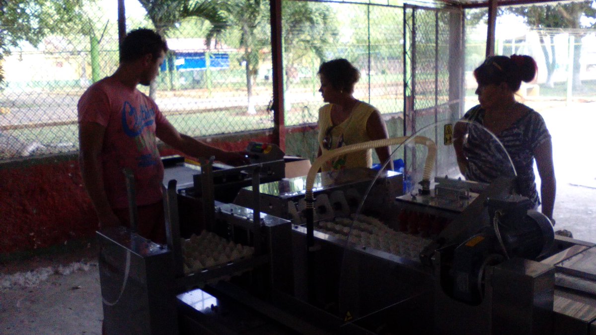 PrinzenBV's tweet image. Recently we installed a brand new machine on Cuba. Customer is really happy with the machine @WorldPoultry