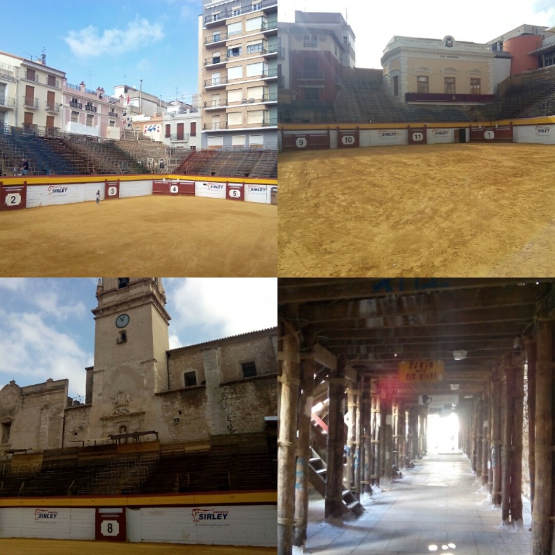 Simn84's tweet photo. Ya en Algemesí. Hoy con @AngelTellez757 de la @et_Madrid y novillos de Daniel Ruiz. https://t.co/YBA5rxSfVJ