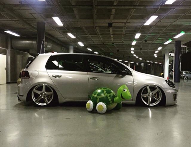 TurtleWaxSA's tweet photo. 🐢 #TurtleTuesday 

#TurtleWaxSA #Turtlewax #CarCare #VW #Mk6 #Static #Stance https://t.co/T6xlIfjkbF