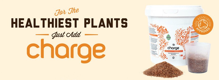 Ecothrive charge beetle frass Now in stock <a href="/gbhydro2/">gbhydro</a>  #thebest