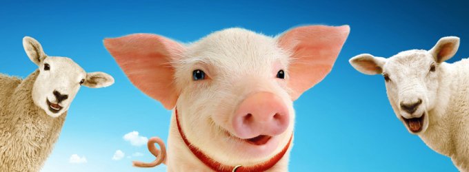 BWW introduces <a href="/BabethePigLive/">Babe The Sheep-Pig</a>, who will soon be coming to London and touring the UK!
broadwayworld.com/article/Dick-K…