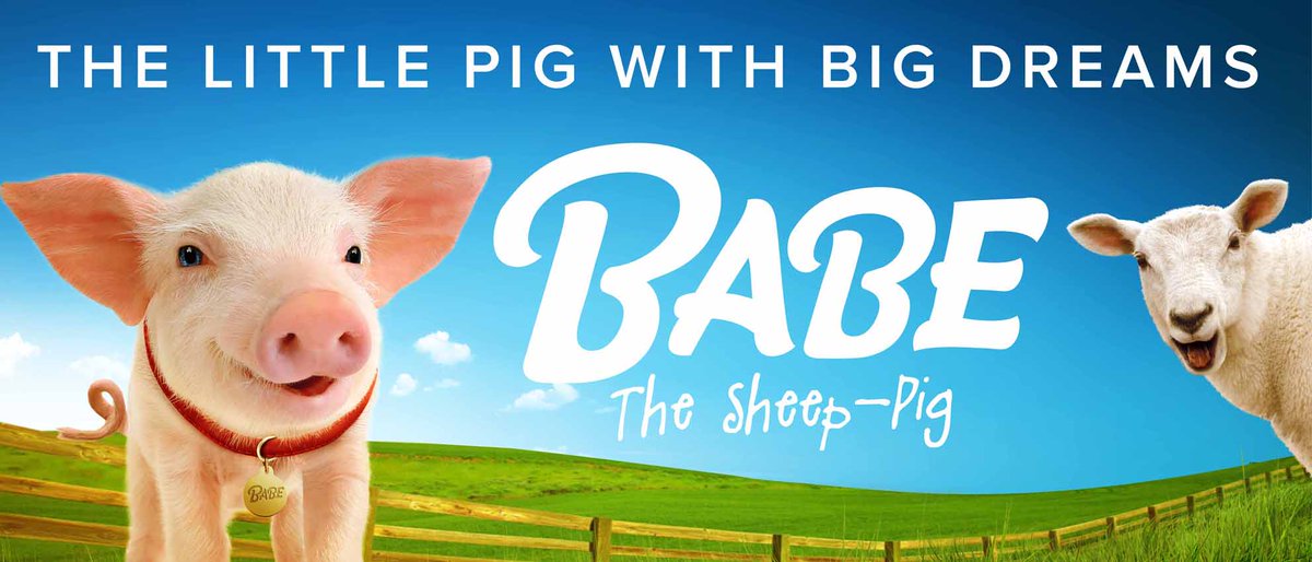 <a href="/babethepiglive/">Babe The Sheep-Pig</a> is coming to <a href="/albanarena/">The Alban Arena</a> in July 2017, come and see the Little Pig with big dreams alban-arena.co.uk/events/babe-th…