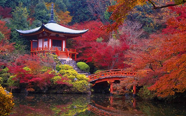 🍁🍃🍂  Autunno! 🍂🍃🍁
#Kyoto, in #Giappone, è una fra le città al mondo più belle e colorate in questa stagione... Partiamo?