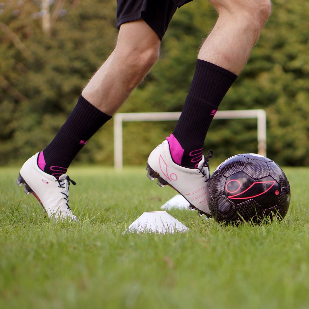 Plan It Coach tweet media