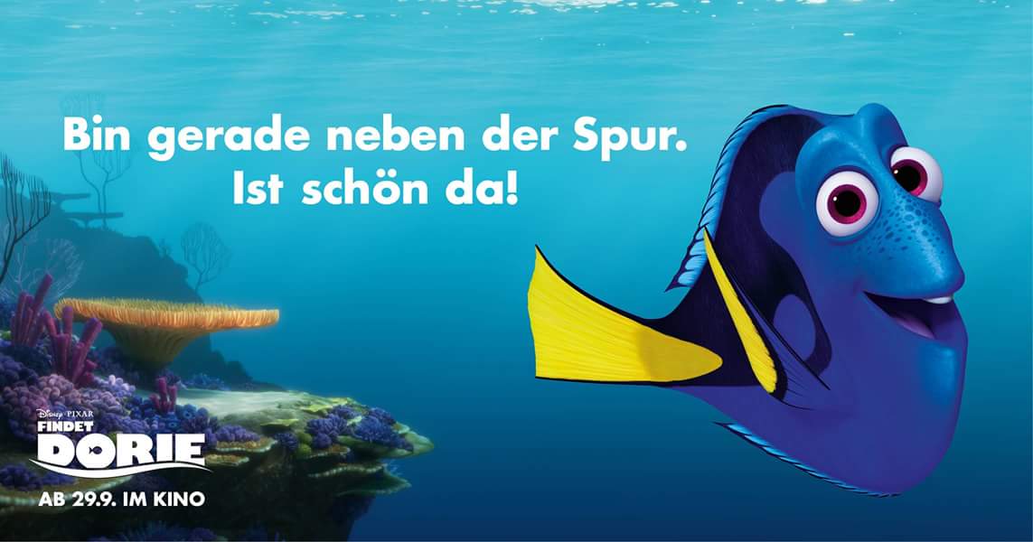 FindetDorie's tweet photo. Wenn man mal auf der Erfolgspur war. 😉 #FindetDorie https://t.co/4jzrhYS1xz