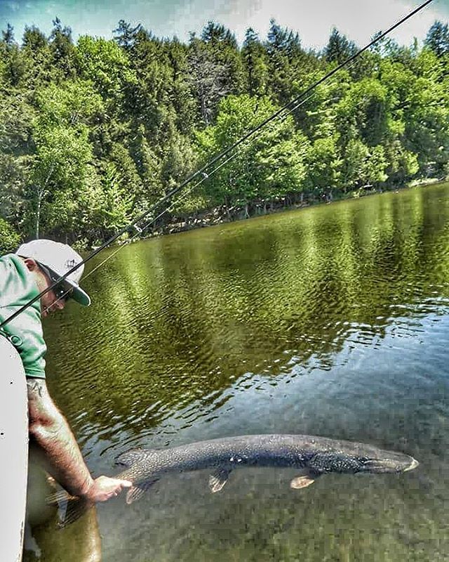 Interviewed Steve Rowbotham about Ontario fishing including some big pike fishing. ow.ly/xQp8304AKlg #Ontario #NorthernPike #fishing