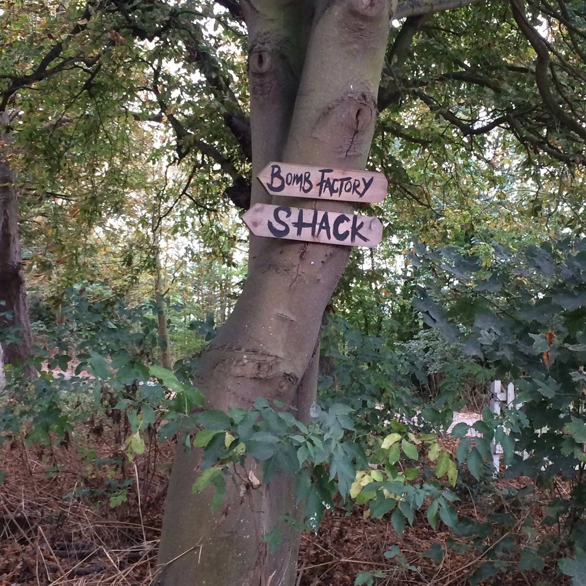 It's not every day you teach yoga in a former ww2 bomb factory #yogateacher #oseaisland #yogalife #essex