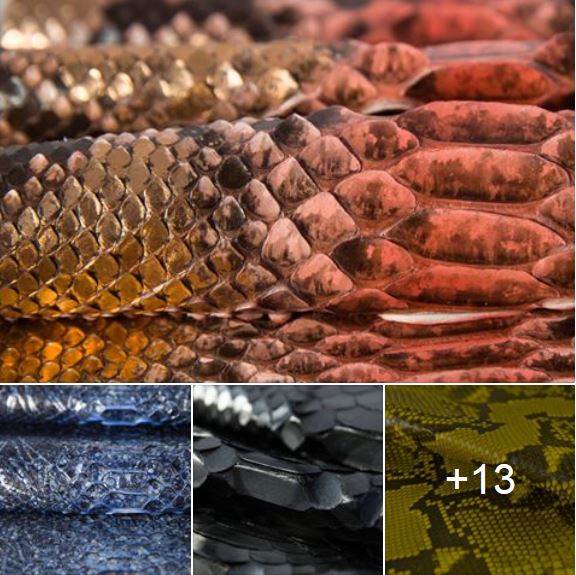 Caravelpelli's tweet photo. "Caravel, the Maison of Precious Skins"
https://t.co/wj3amBlvKw
#PythonLeather #PythonSkin #Colours #MadeInItaly https://t.co/UbbsRot8ip