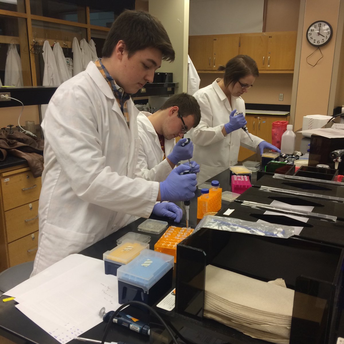 ISU_FRI's tweet photo. New research streams are now available in ISU's Freshmen Research Initiative for the Spring semester! https://t.co/egfPPiLDXt https://t.co/5L7uNI7yXm