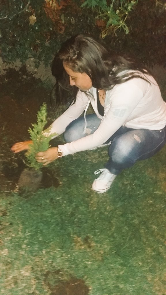 97mendezvanessa's tweet photo. #umbvirtual  #unarbolvirtual 🙌🙌🙌😛😛 https://t.co/S3Q9nTtpSR