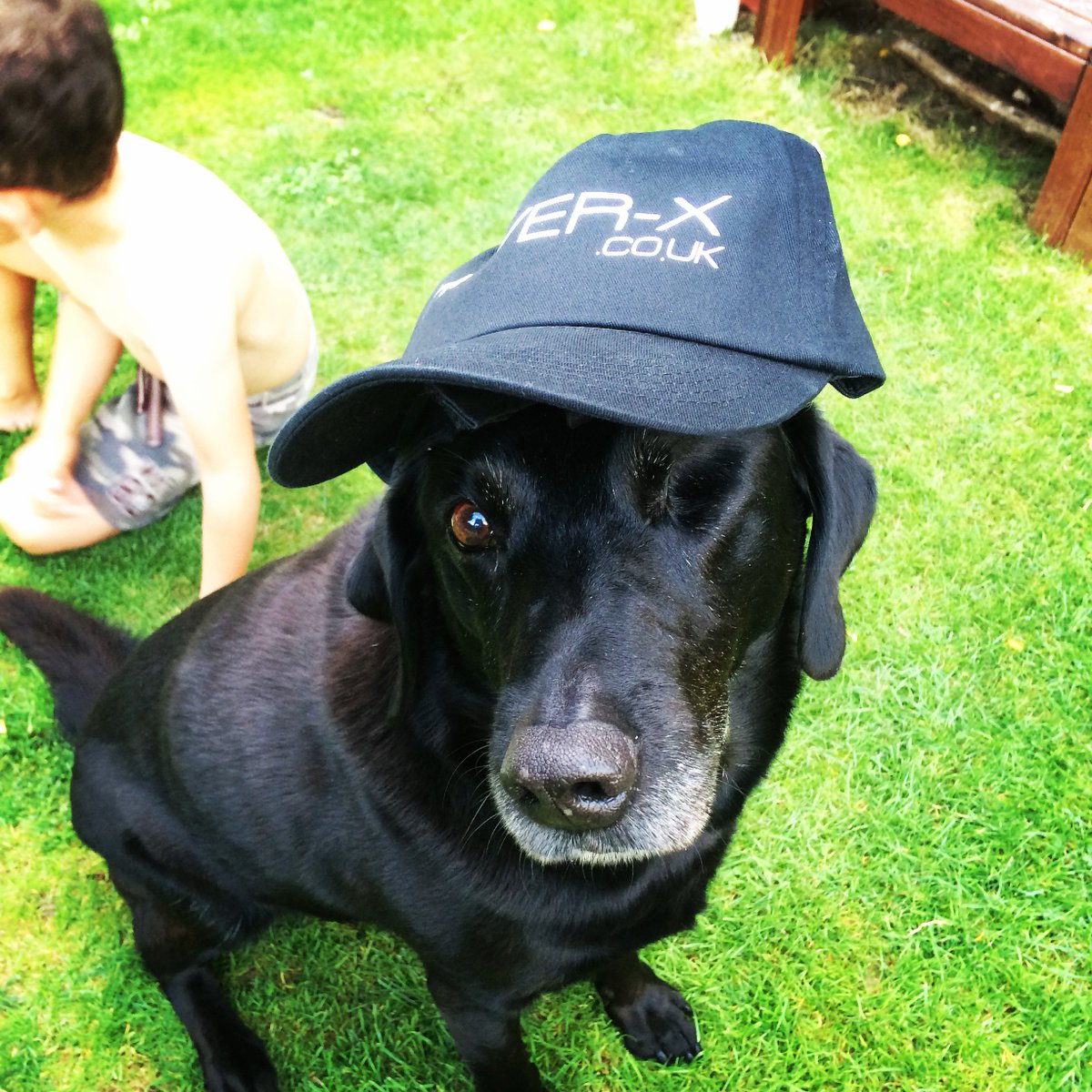 HoverXgo's tweet photo. We've got this adorable doggo on Team HOVER-X too!
#HOVERX #hoverboard #TeamHoverX #dogs #carbonfibre #technology #design #smartbalancewheel https://t.co/E0XXIS78YE