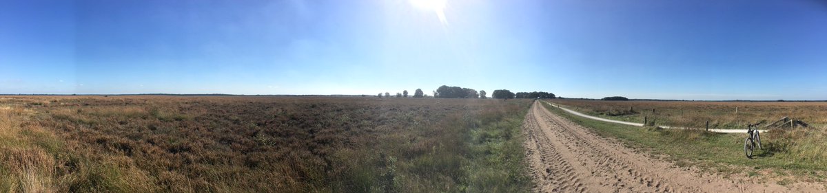 johankoops's tweet image. Op de grote stille heide #dwingelderveld