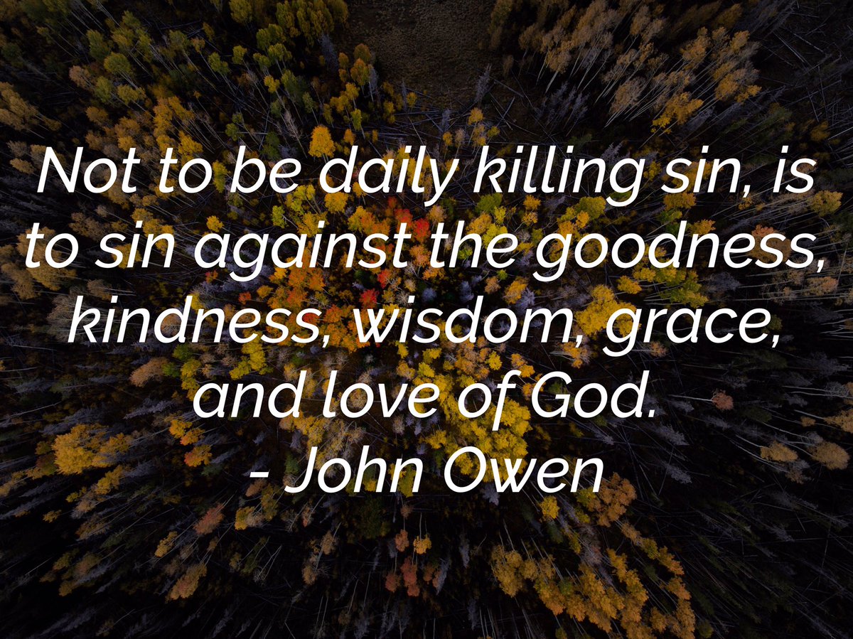 elementarythe's tweet image. #killsin #theology #johnowen #elementarytheology