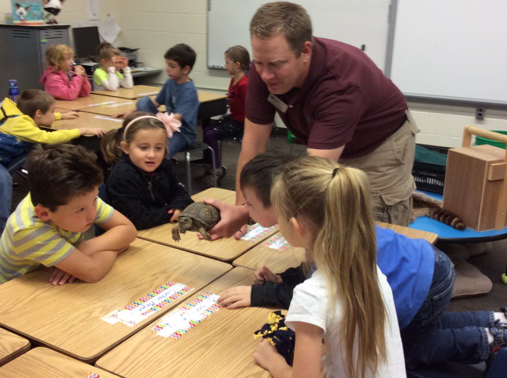 BethIngall's tweet image. Box turtle!  Thanks Holland ODC