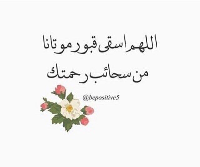 #ماذا_يريد_الرجل 
#اذكر_الله 
#تسبيح 
#لا_اله_الا_الله 
#استغفرالله