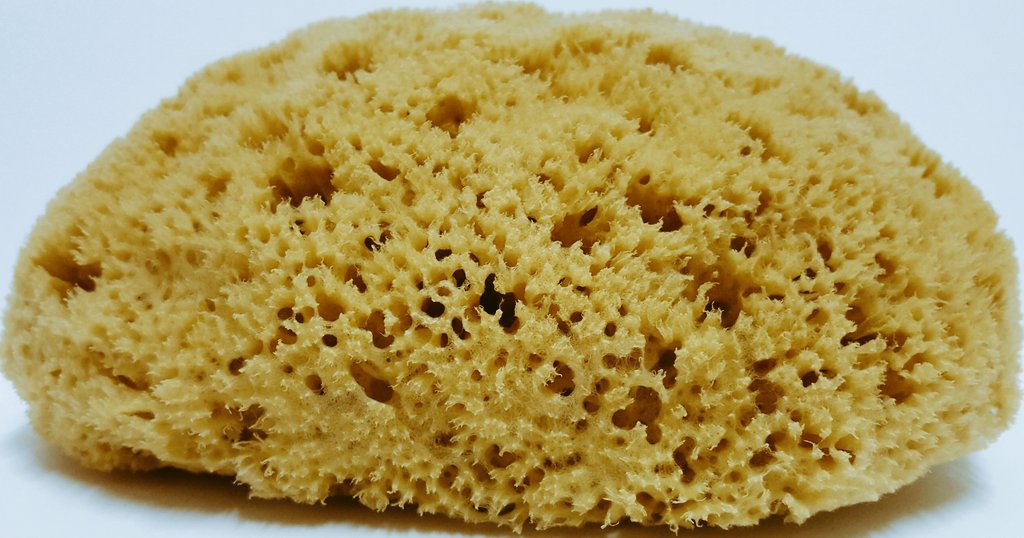 #Organic #SkinCare #GoldenBrown #Honeycomb #NaturalSeaSponge #NaturalSkinCare #NothingAdded #NothingTakenAway thenaturalseaspongeemporium.co.uk