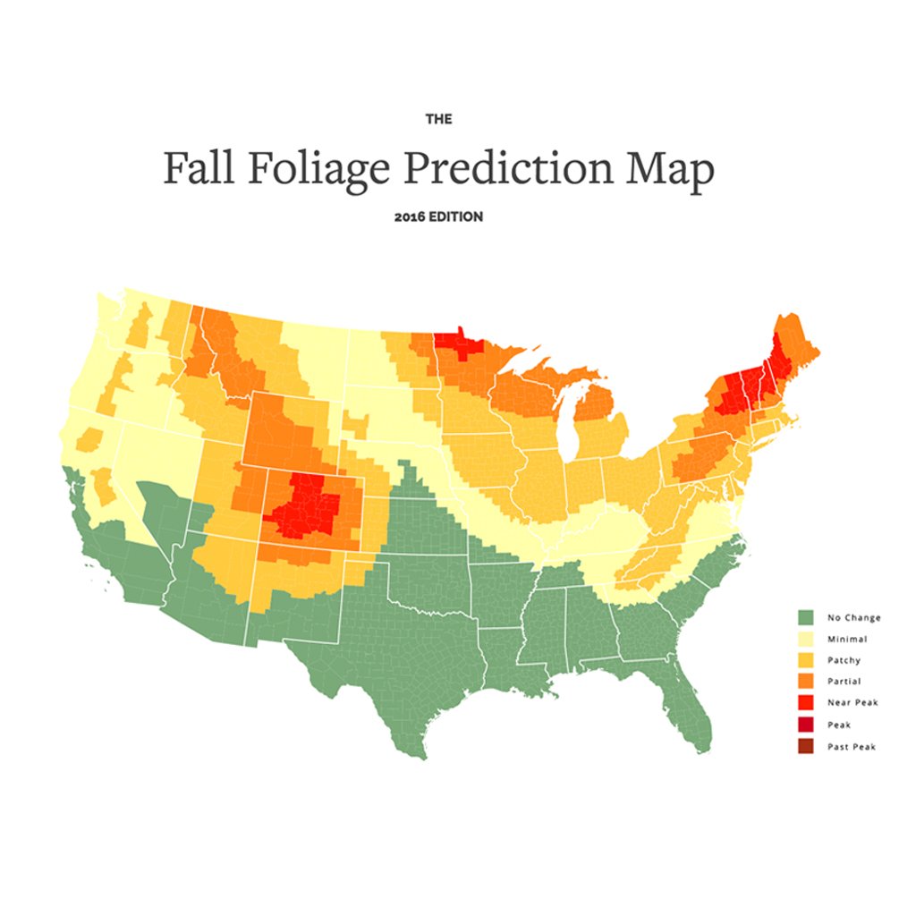 SmokyMountains.com tweet media