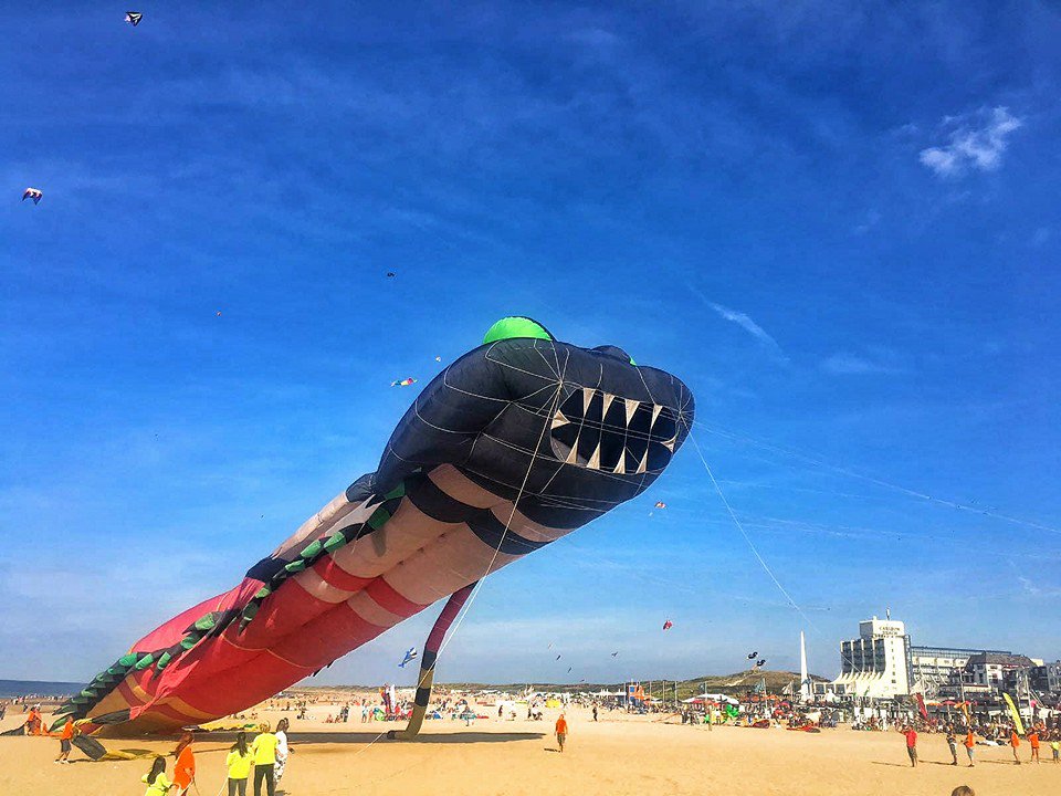 Carlton Beach tweet media