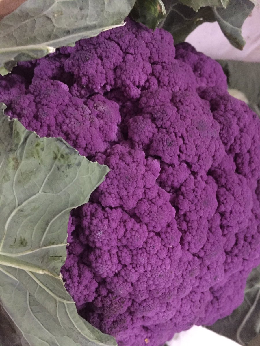 FineFoodMike's tweet photo. Nice bit of colour in the fridges https://t.co/vggXdNwvAD