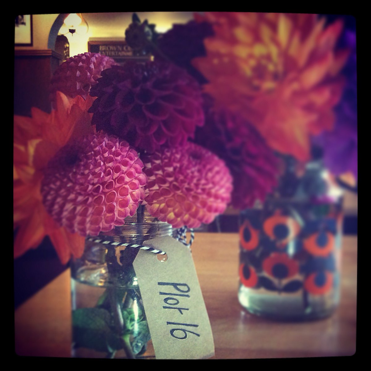 browncowlouth's tweet image. #plot16 dahlias bringing some autumn colour into the cow