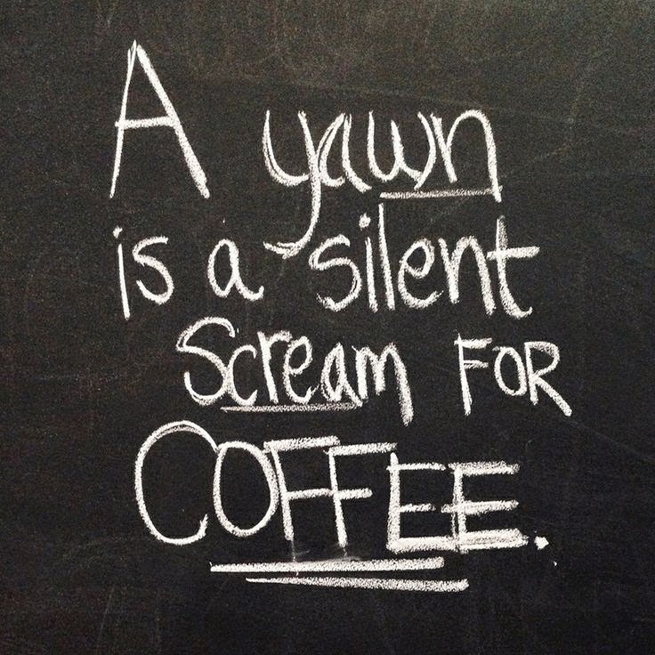 Camdencoffee's tweet photo. A yawn is a silent scream for a #coffee...
We can testify to this! https://t.co/Dx4ZsXkVdR