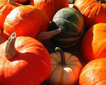 InterstateFord's tweet image. Need fresh food for the family? Head out to our city’s farmer’s market on... town!

goo.gl/L1eipw