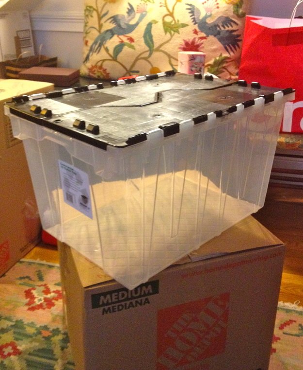 4FriendsMoving's tweet image. Packing Tip
Pack the items you will need FIRST in a clear plastic bin.
#PalmBeachCounty #Movers #DIY #TuesdayTips 4friendsmoving.com