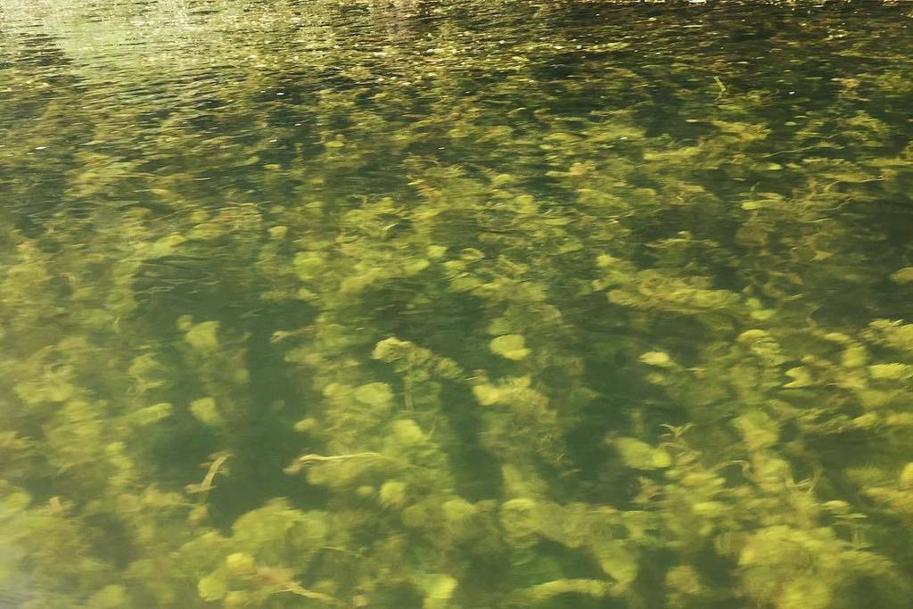 NguyenDuyTan3's tweet photo. #nature #pattern is the best pattern #veränderedeineperspektive https://t.co/mKSmmySkYk