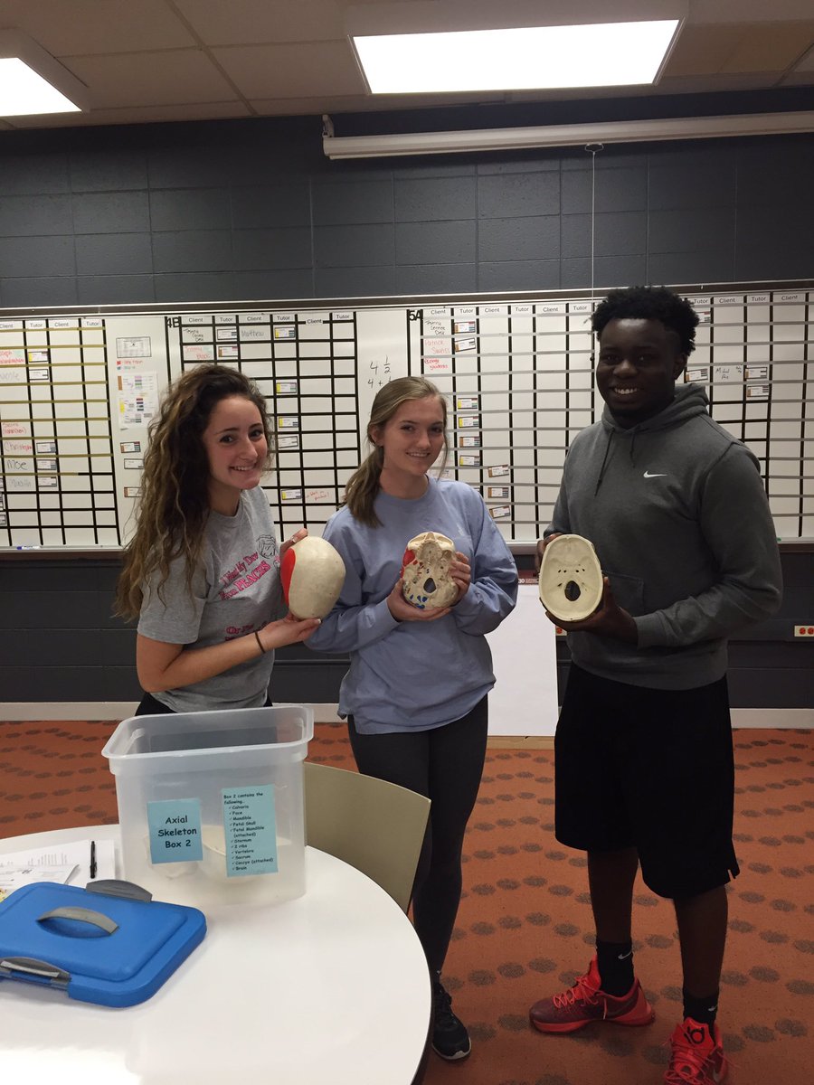 TheCenterVJA's tweet photo. Studying for anatomy? 5am wake ups not enough time to prep? THE Center has models to work with during your lunch periods @JJatVJA https://t.co/HR90gZvNL1