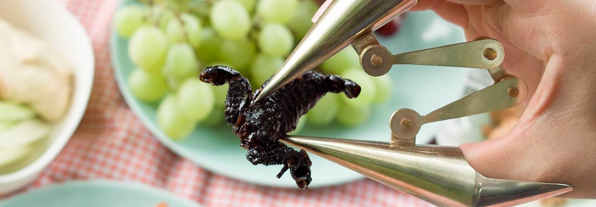 kenradio's tweet image. UN Report Says We Should Be Eating More Bugs - goo.gl/4Q9P7h