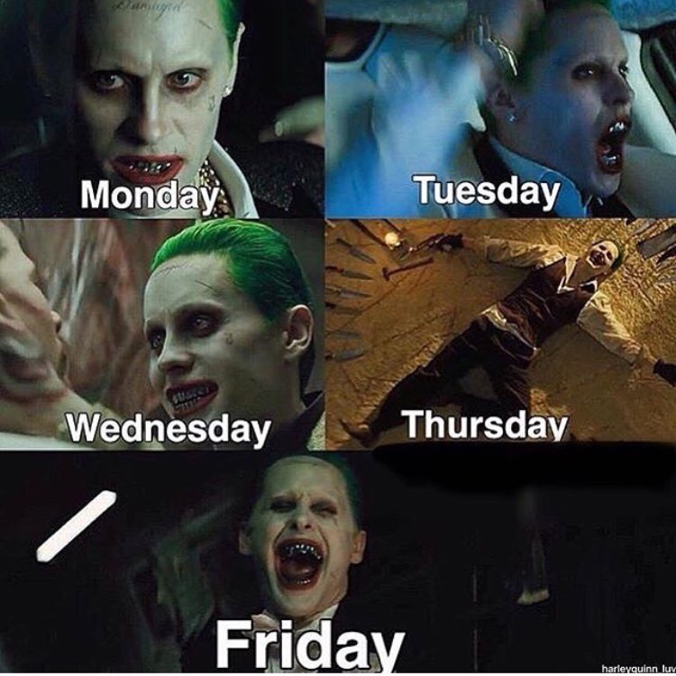 _HARLEYSSQUAD's tweet photo. My emotions everyda😋 https://t.co/r3Klg3eXYg