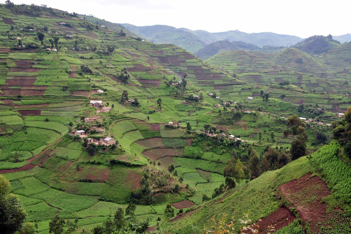Diversitarian (@diversitarian) on Twitter photo #BigData will be key to #Africa's Green Revolution: bit.ly/2dxxa6A
<a href="/DebisiAraba/">Débísí Àràbà</a> <a href="/ajarvis/">Amanda Jarvis</a> <a href="/CGIAR/">CGIAR</a> <a href="/CIAT_/">CIAT</a> <a href="/georginajsmith/">Georgina Smith</a> #BigData will be key to #Africa's Green Revolution: bit.ly/2dxxa6A
<a href="/DebisiAraba/">Débísí Àràbà</a> <a href="/ajarvis/">Amanda Jarvis</a> <a href="/CGIAR/">CGIAR</a> <a href="/CIAT_/">CIAT</a> <a href="/georginajsmith/">Georgina Smith</a>