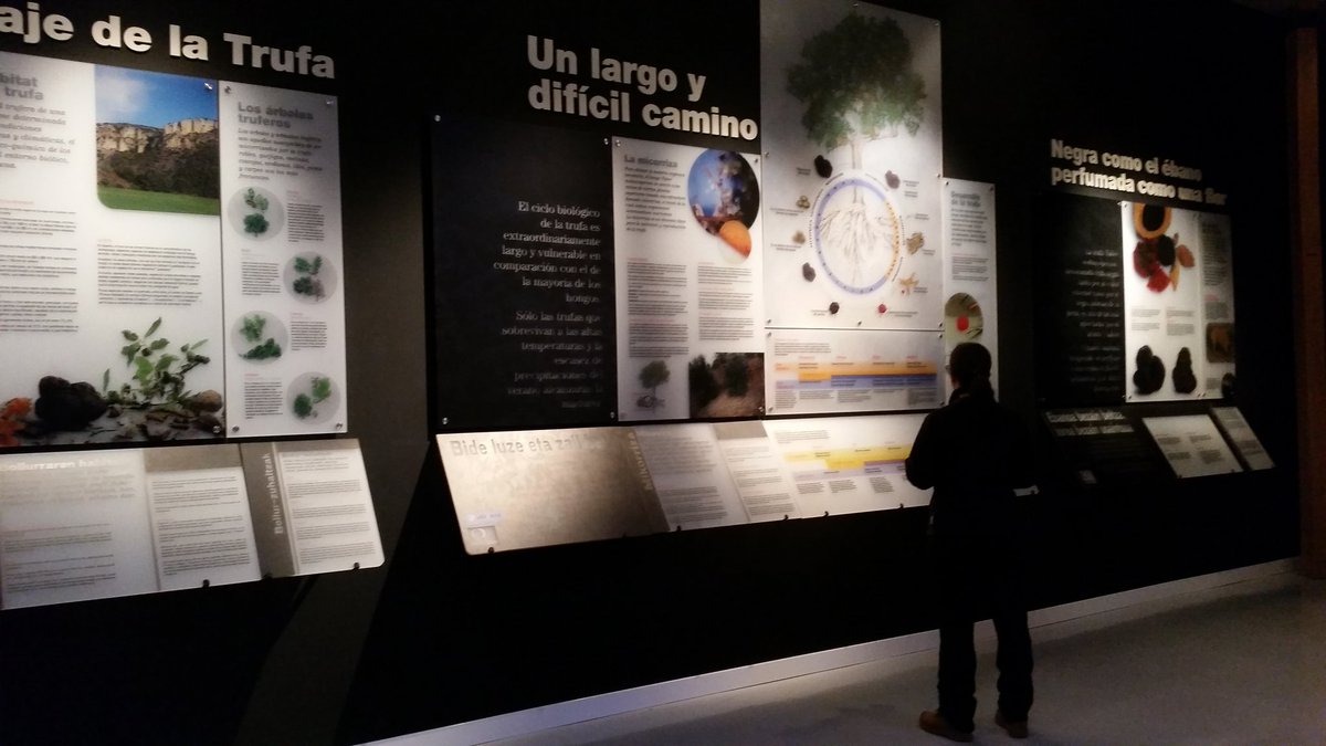 objetivo_viajar's tweet photo. Conociendo el valor de la trufa negra en el Museo de la Trufa- Centro de Interpretación de Metauten 
 #Estellaruraltrip https://t.co/1J0HDcU6uo