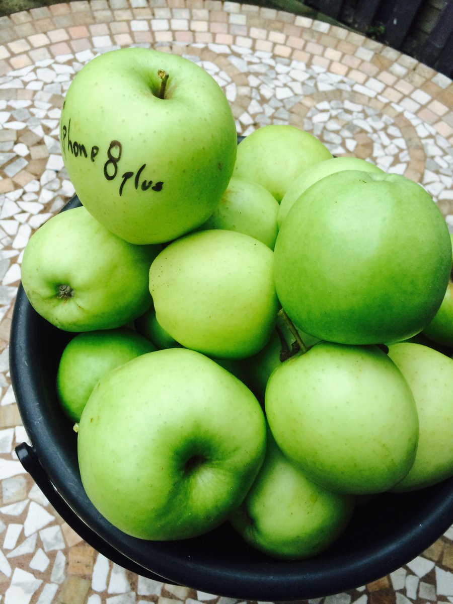 ChungaStereo's tweet photo. #ready for apple pie or crumble tonight with my English Apples grown on my garden in London. Sponsored by #Apple8plus and #apple7plus https://t.co/FnKUtJzUtr