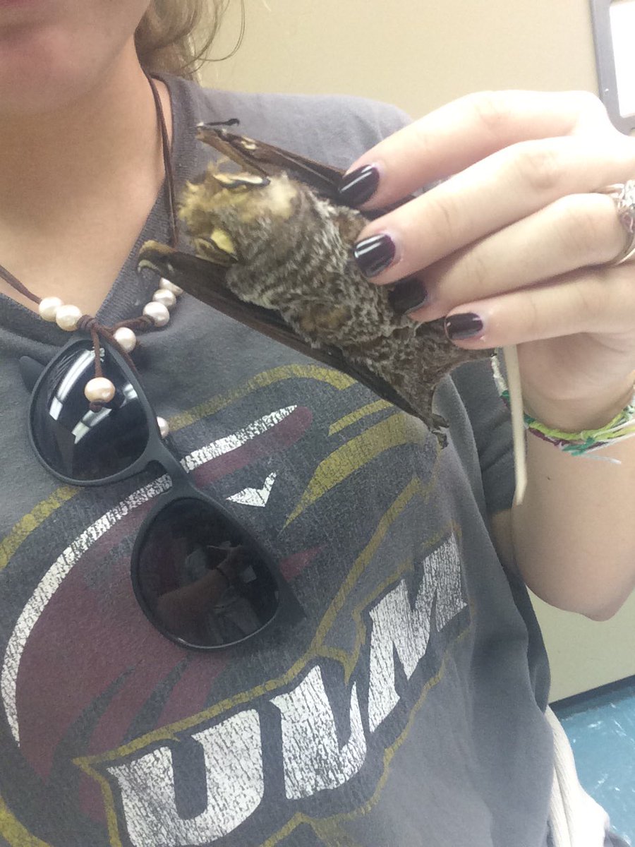 Danielle Ledet tweet media