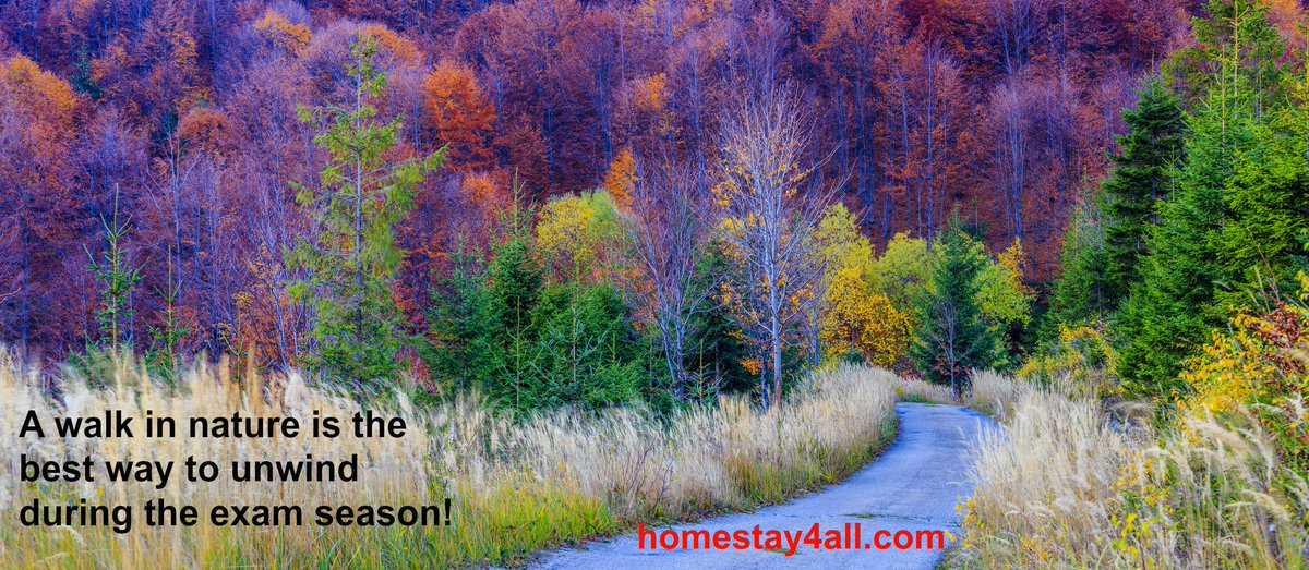 Homestay4all's tweet image. Keep #stress at bay with a walk in #nature! #forest #fallseason #studyingabroad #studyhard #workhard #relax #rest #fallcolours #september