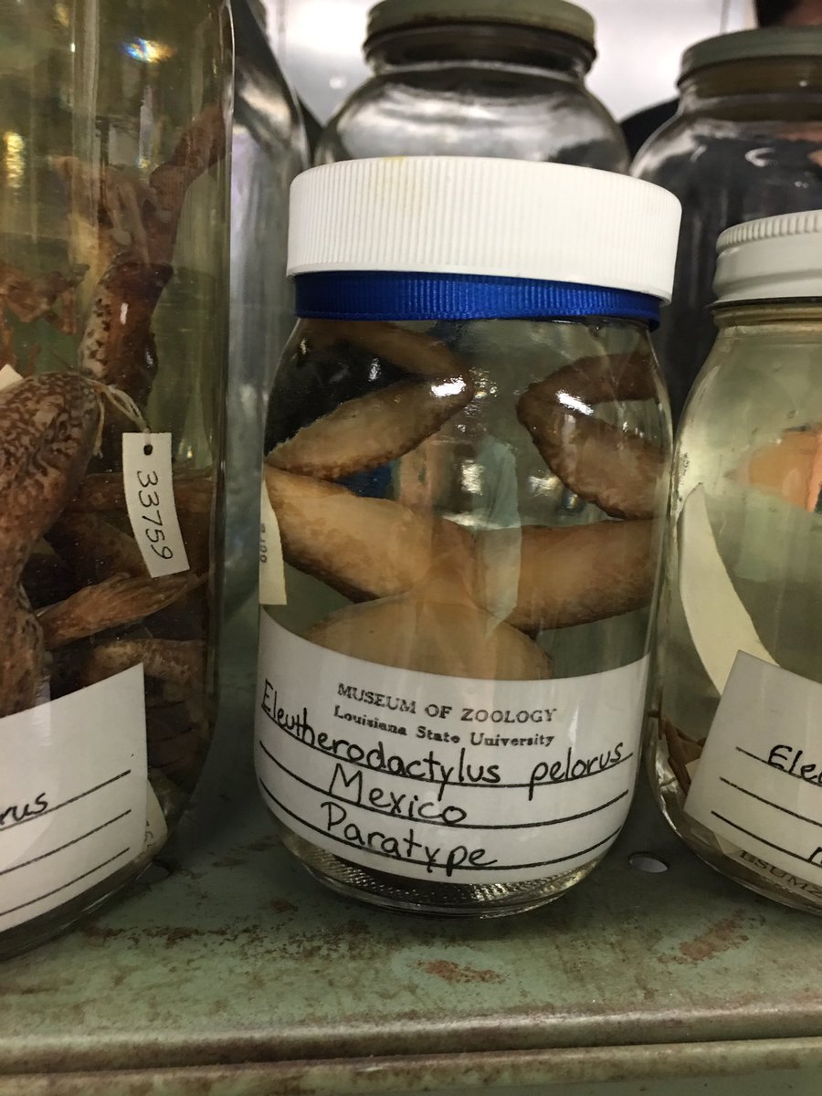 Annie Schwartz tweet media