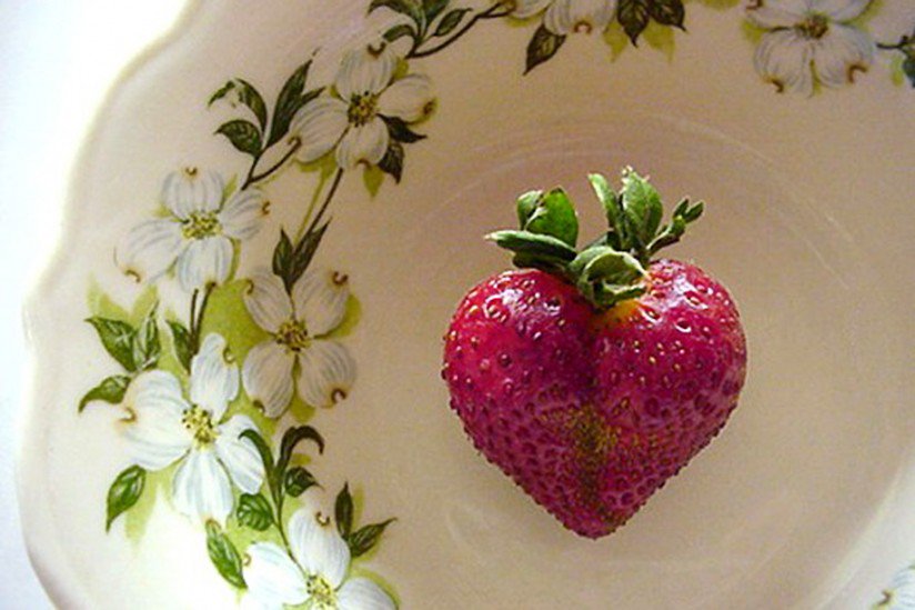 New program for the homeless nourishes body and soul ow.ly/HpPn304Ck12