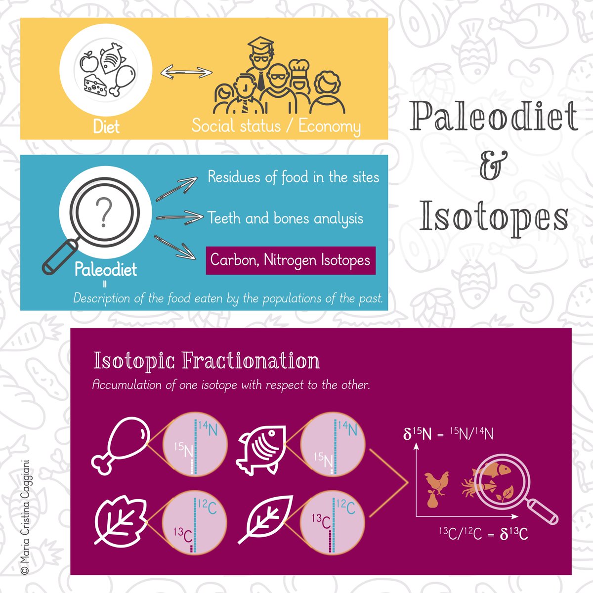 archeobaleni's tweet photo. https://t.co/o7wnhHfdJJ with @SapereScienza @ale_colaianni #isotopes #paleodiet #archaeometry #infographics #archeobaleni https://t.co/F0Cvtt3qCQ