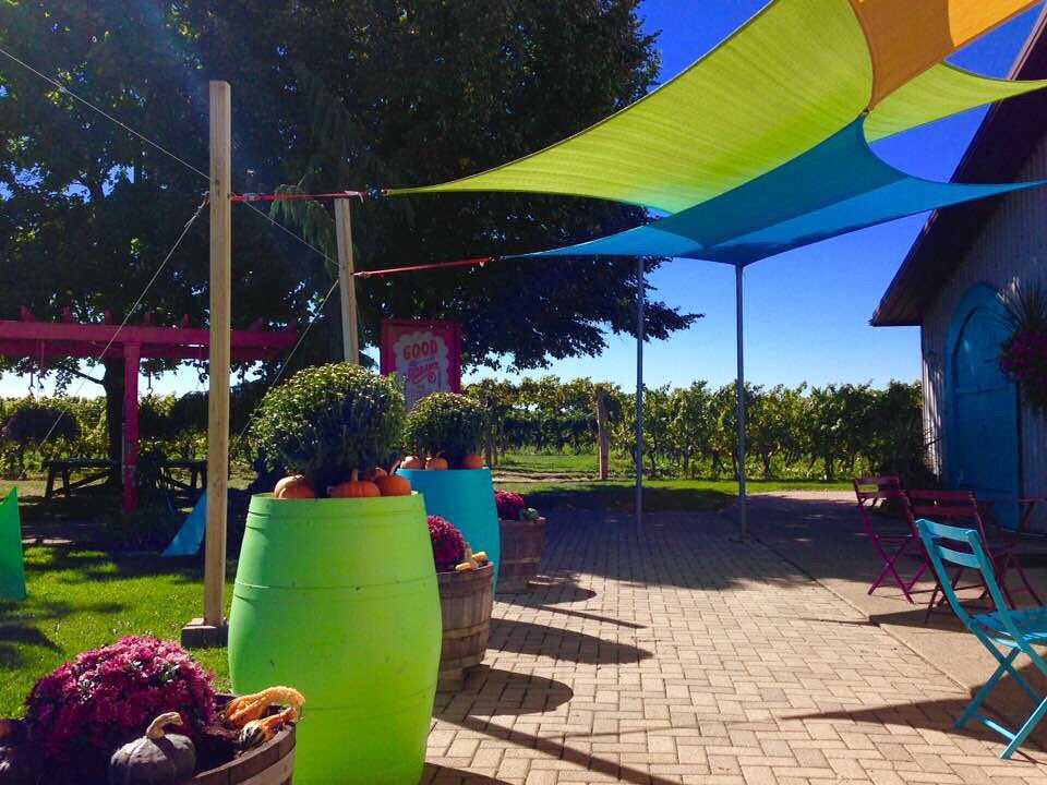 Small Talk Wines tweet media