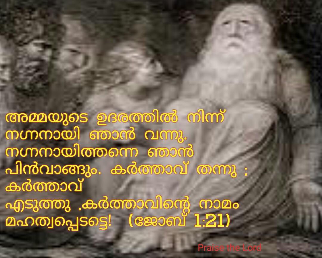 binoare tweet picture