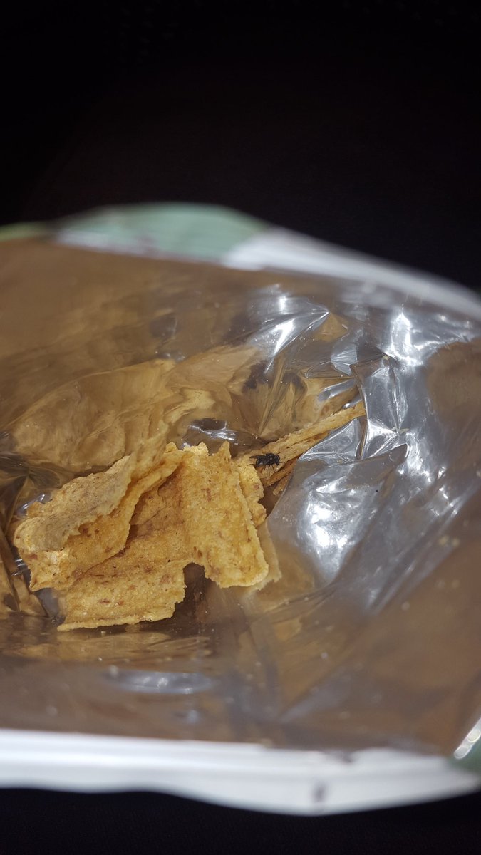 AdelleMarley's tweet photo. Dead fly in my crisps!! Almost ate it 😷😷 RT @WalkersSunbites @walkers_crisps @AsdaServiceTeam @asda https://t.co/QtPpGdUBtF