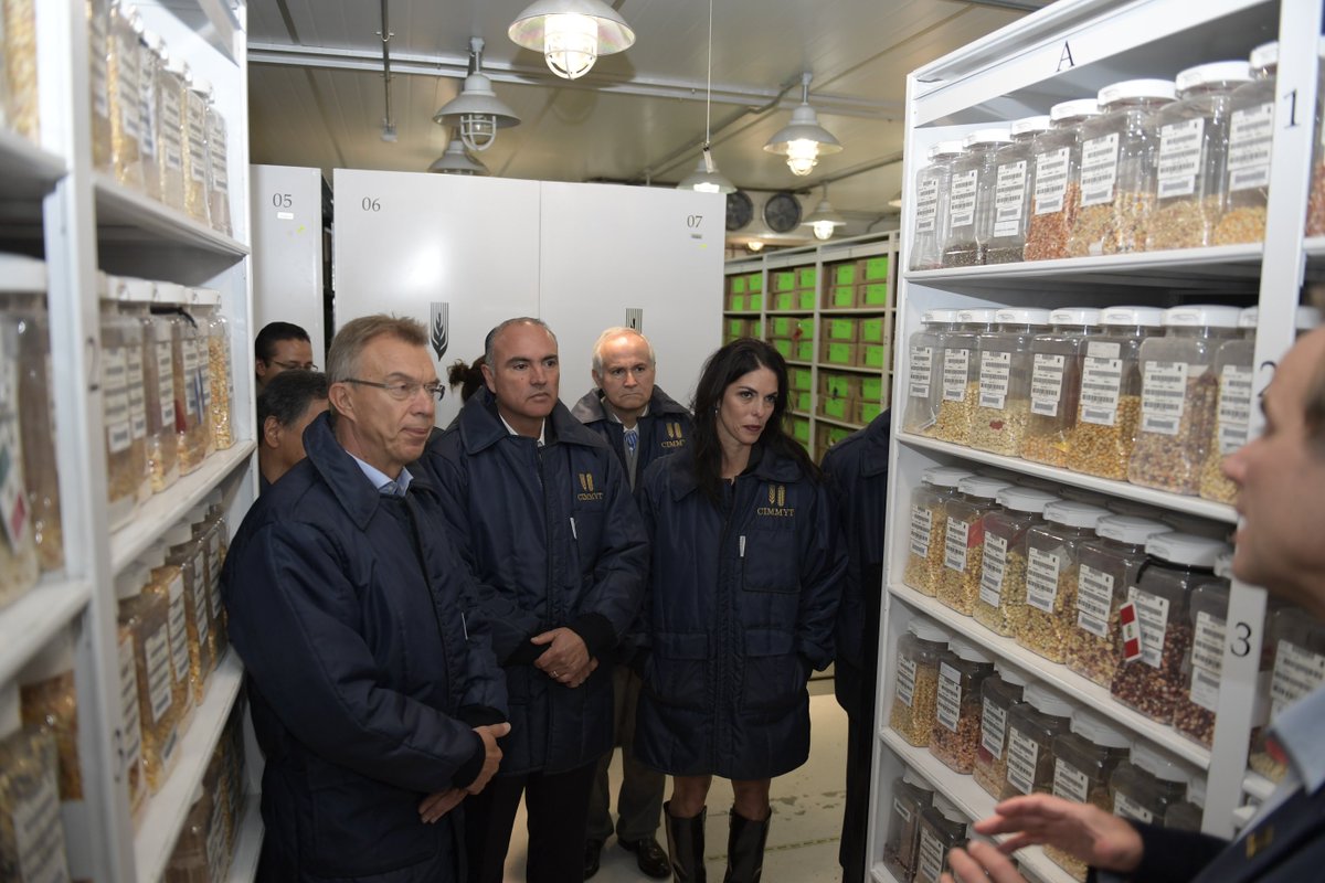 Agricultura_mex's tweet photo. En el año 2000 y 2014 el @CIMMYT recibió el Premio Mundial de la Alimentación por trabajar en la Seguridad Alimentaria Mundial. #CIMMYT50 https://t.co/GRXDBL31Bf