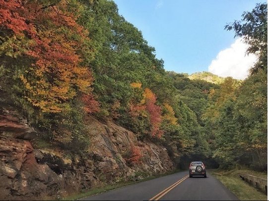 MissMallibu's tweet photo. 2 days to girls weekend in Asheville and the leaves they are a changin'. ❤ photo via @VisitAsheville #fallchild https://t.co/8AY1sFW2lq