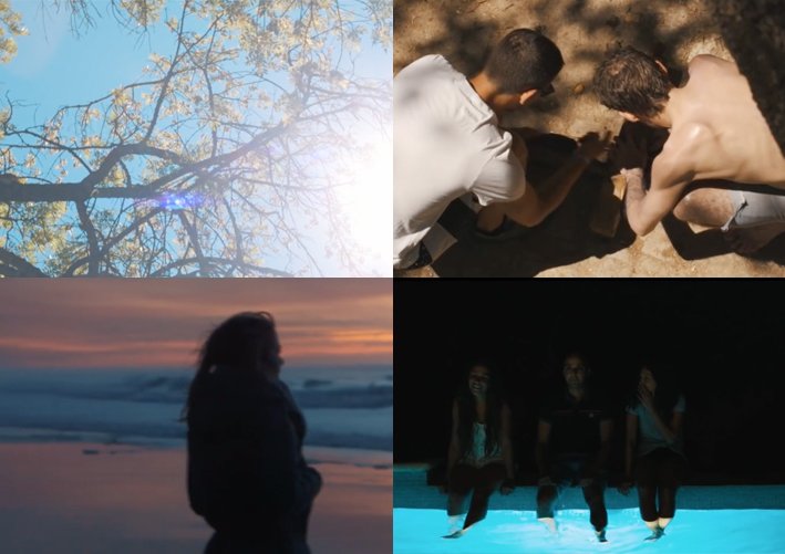 Pinkfrenetik tweet media