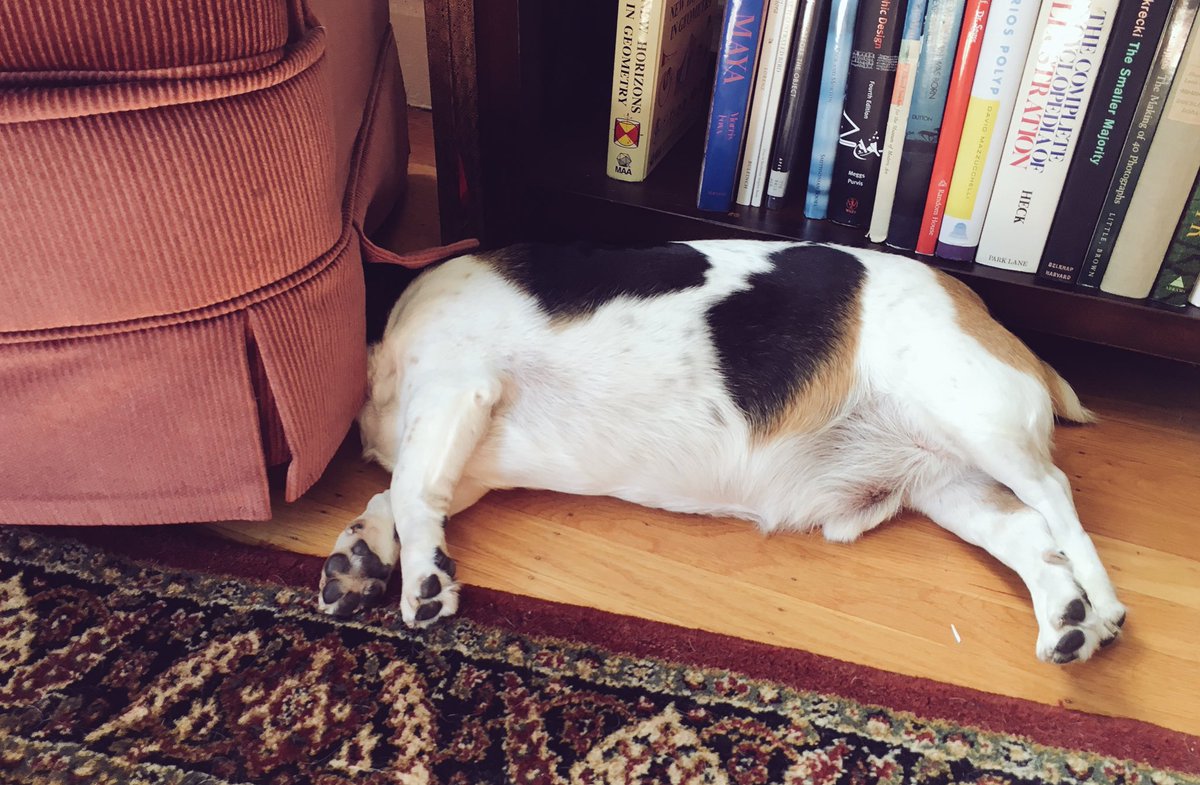 ernierubs's tweet photo. Is it cooler under here? https://t.co/C5P0kvm9hY