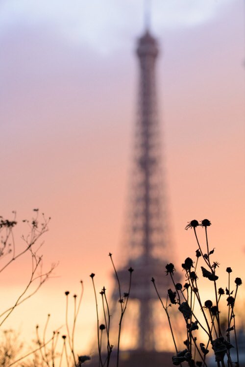 BMarianaya's tweet photo. “La vie est la somme de tous vos choix.”

Albert Camus 

           Bonsoir ✨🌙 https://t.co/YhKdhryEXu