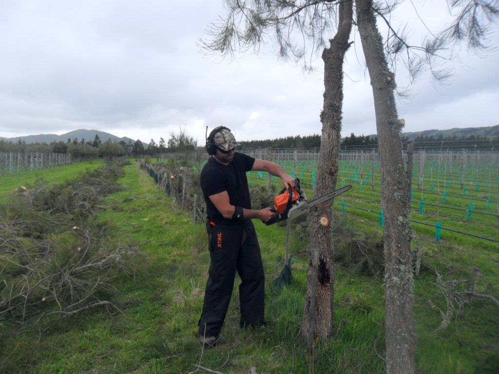 Julicherwines's tweet photo. Hate chopping down trees, but these in the way of Frost protection machine https://t.co/uW8NJN1Z6e