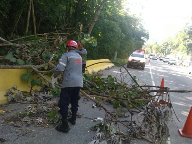 Ángeles de la autopista MPPT tweet media