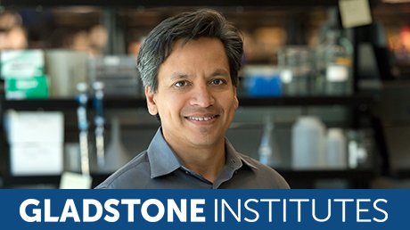 MegGrazMcDevitt's tweet photo. Deepak Srivastava is next, "Cellular reprogramming approaches for Cardiovascular disease" #CSStemCells16 #iPSC10yr https://t.co/AhXN1QTT0C https://t.co/DQg0yBGDcU